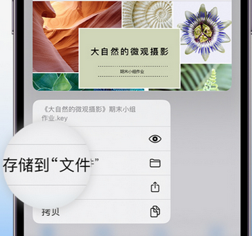 龙亭apple维修中心分享iPhone文件应用中存储和找到下载文件