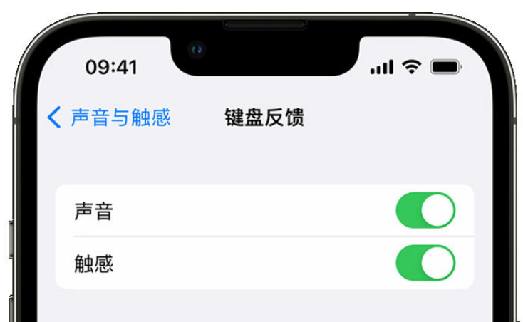 龙亭苹果手机维修分享iPhone 14触感键盘使用方法 