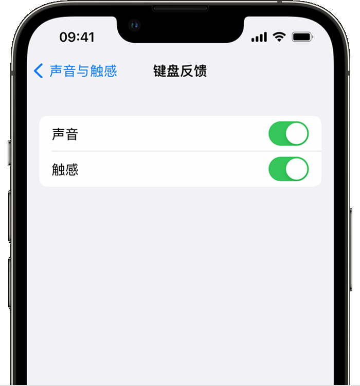 龙亭苹果14维修店分享如何在 iPhone 14 机型中使用触感键盘 