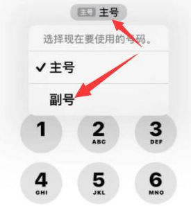 龙亭苹果14维修店分享iPhone 14 Pro Max使用副卡打电话的方法 