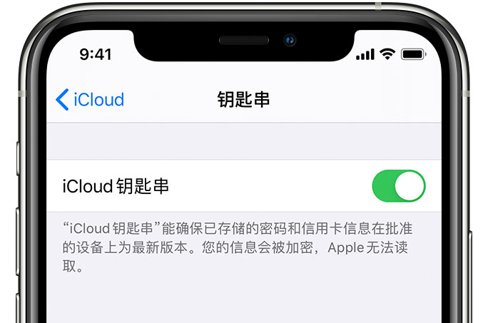 龙亭苹果手机维修分享在 iPhone 上开启 iCloud 钥匙串之后会储存哪些信息 